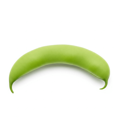 High quality studio photograph of a single Snap Bean