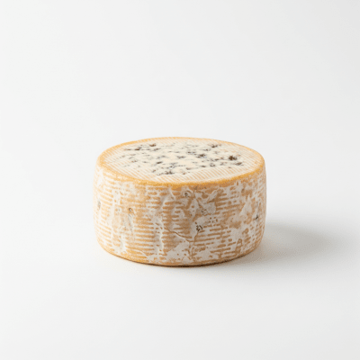 High quality studio photograph of a single Stilton