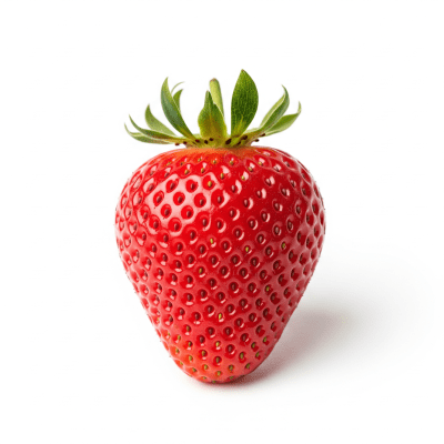 High quality studio photograph of a single Strawberry, classified under the taxonomy berries