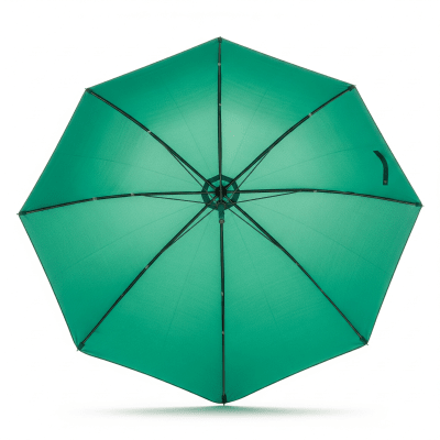 High quality studio photograph of a Sun Umbrella