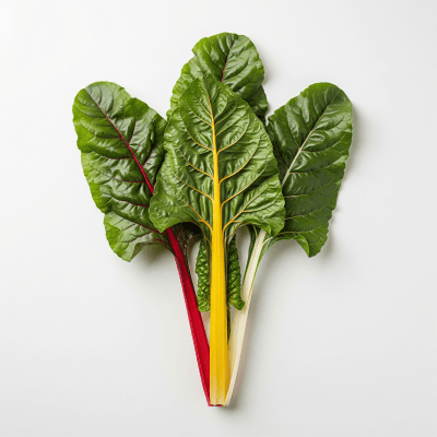 High resolution studio photograph of a single Swiss Chard