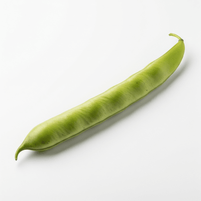 High resolution studio photograph of a single Sword Bean
