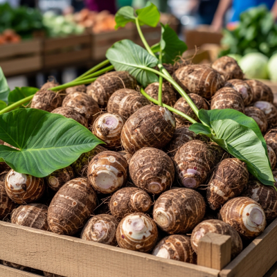 Image showing freshly harvested Taro, displayed in a farmer's market basket or crate