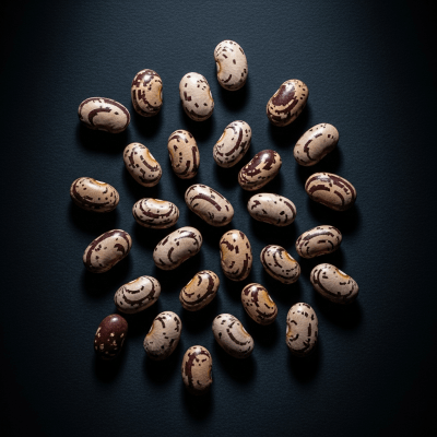 Editorial-style photograph of Tepary Bean, part of the taxonomy beans, arranged aesthetically on a dark background with dramatic lighting to highlight its shape and color.