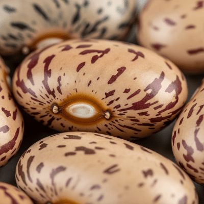 A close-up macro shot of Tepary Bean (beans) showing its texture, surface details, and natural colors