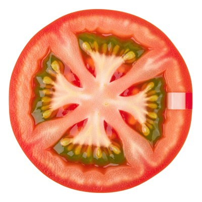 A cross-sectional view of a sliced Tomato, part of the taxonomy berries