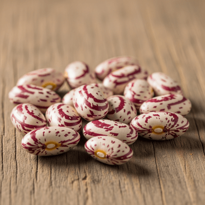 A handful of uncooked Tongues of Fire Bean beans (beans) scattered on a rustic wooden surface, photographed in natural light to emphasize their variety and color