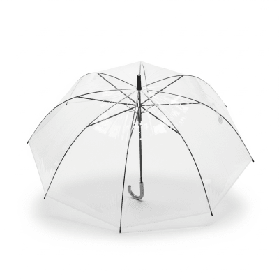 High quality studio photograph of a Transparent Umbrella