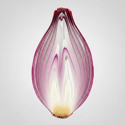 A detailed cross-sectional image of a Tropea onion (onions) cut in half to reveal its internal layers and structure