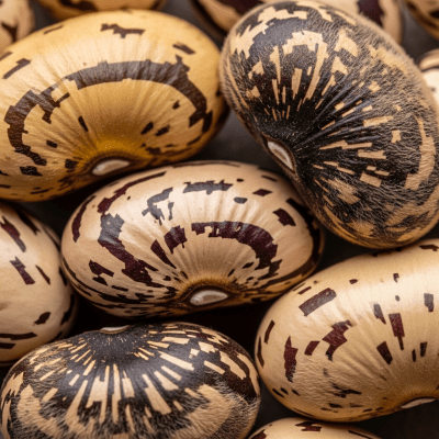 A close-up macro shot of Velvet Bean (beans) showing its texture, surface details, and natural colors