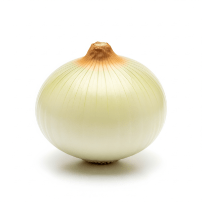 High quality photograph of a single Vidalia onion