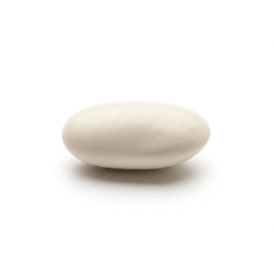 High quality studio photograph of a single White Bean