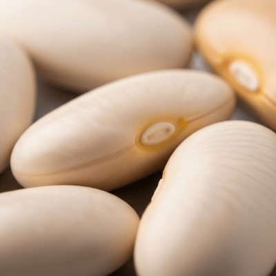 A close-up macro shot of White Bean (beans) showing its texture, surface details, and natural colors
