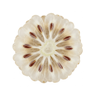 A cross-sectional view of a sliced White Mulberry, part of the taxonomy berries