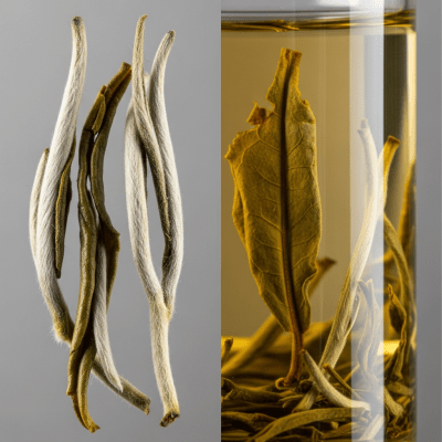 Cross-sectional close-up of a White Tea