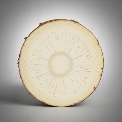 Detailed cross-sectional view of a fresh Yam