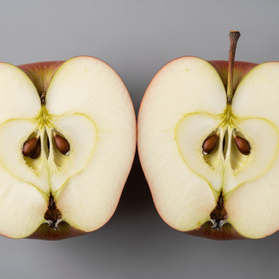 A close-up image showing a cross-section of a York Imperial of the taxonomy apples, sliced cleanly in half to reveal internal structure, seeds, and flesh