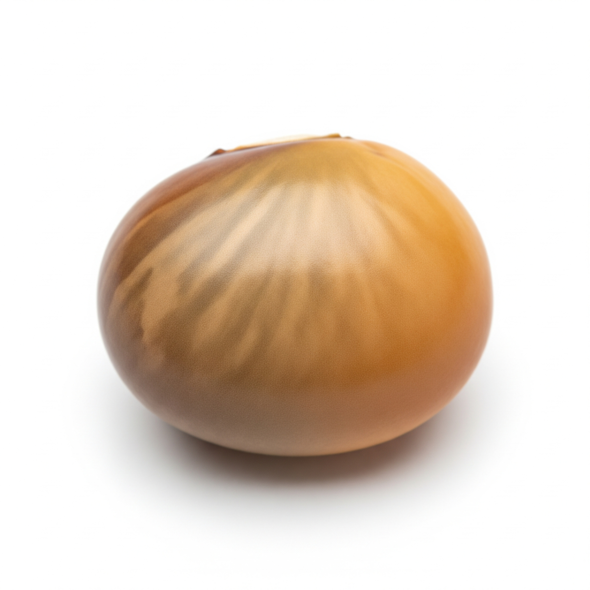 Tarwi bean Tarwi bean Poster