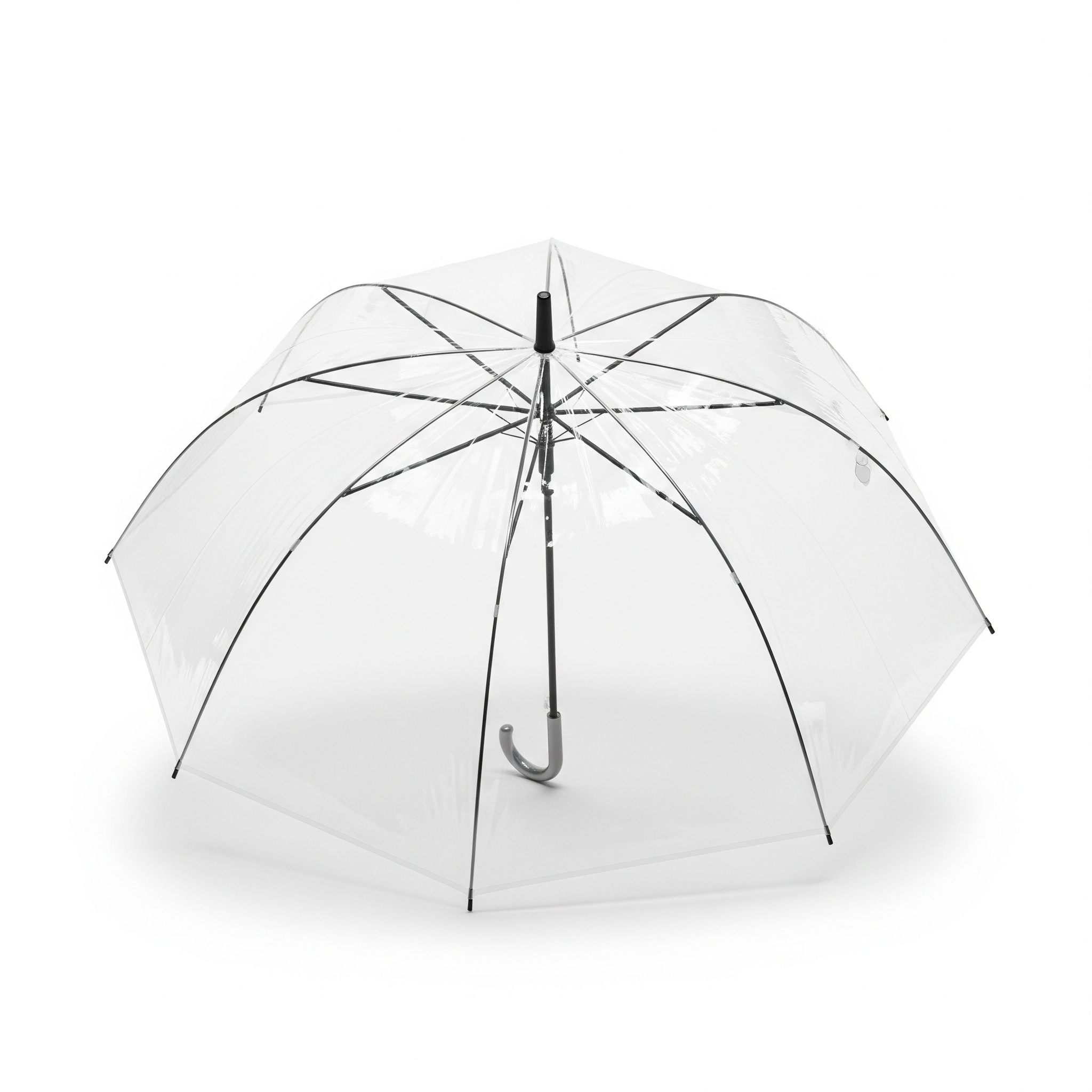 Transparent Umbrella Transparent Umbrella Poster