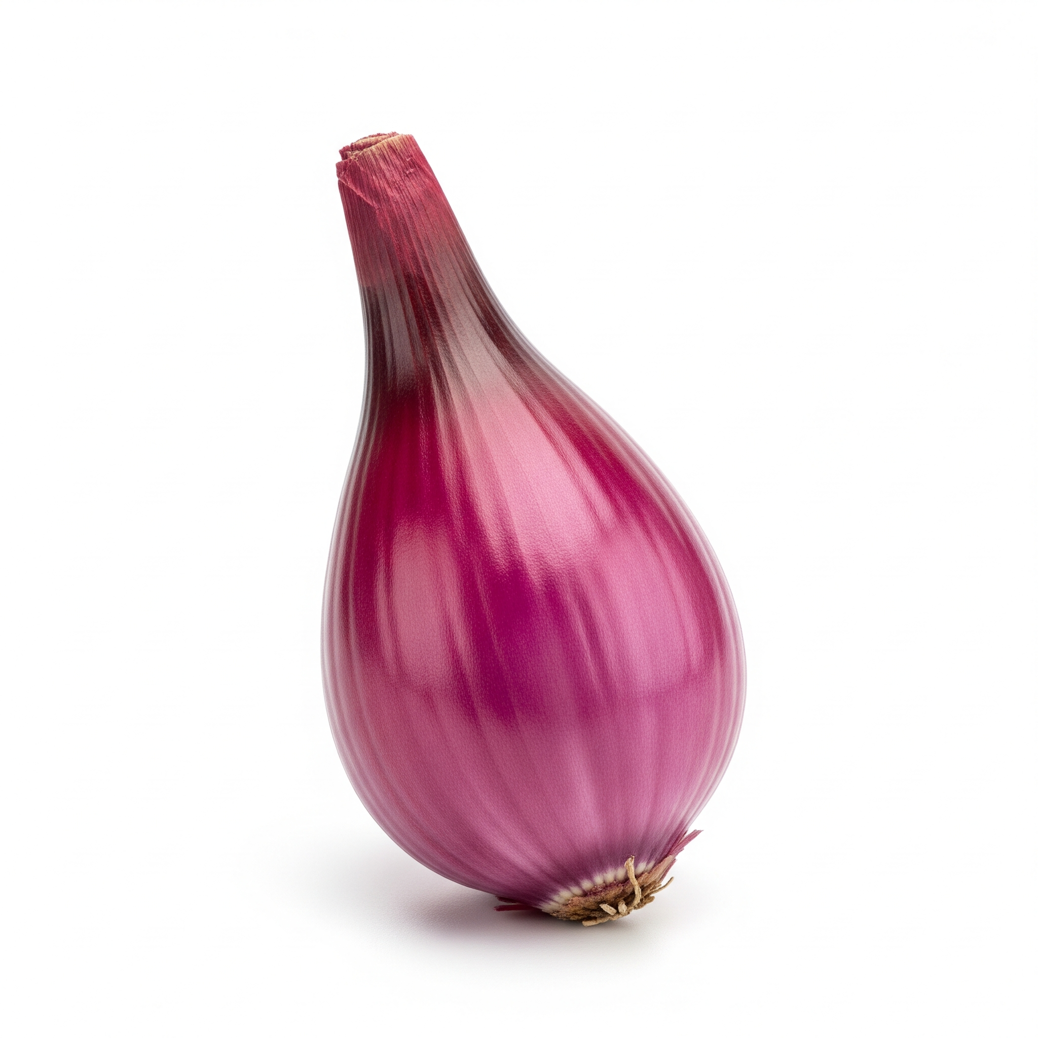 Tropea onion Tropea onion Poster