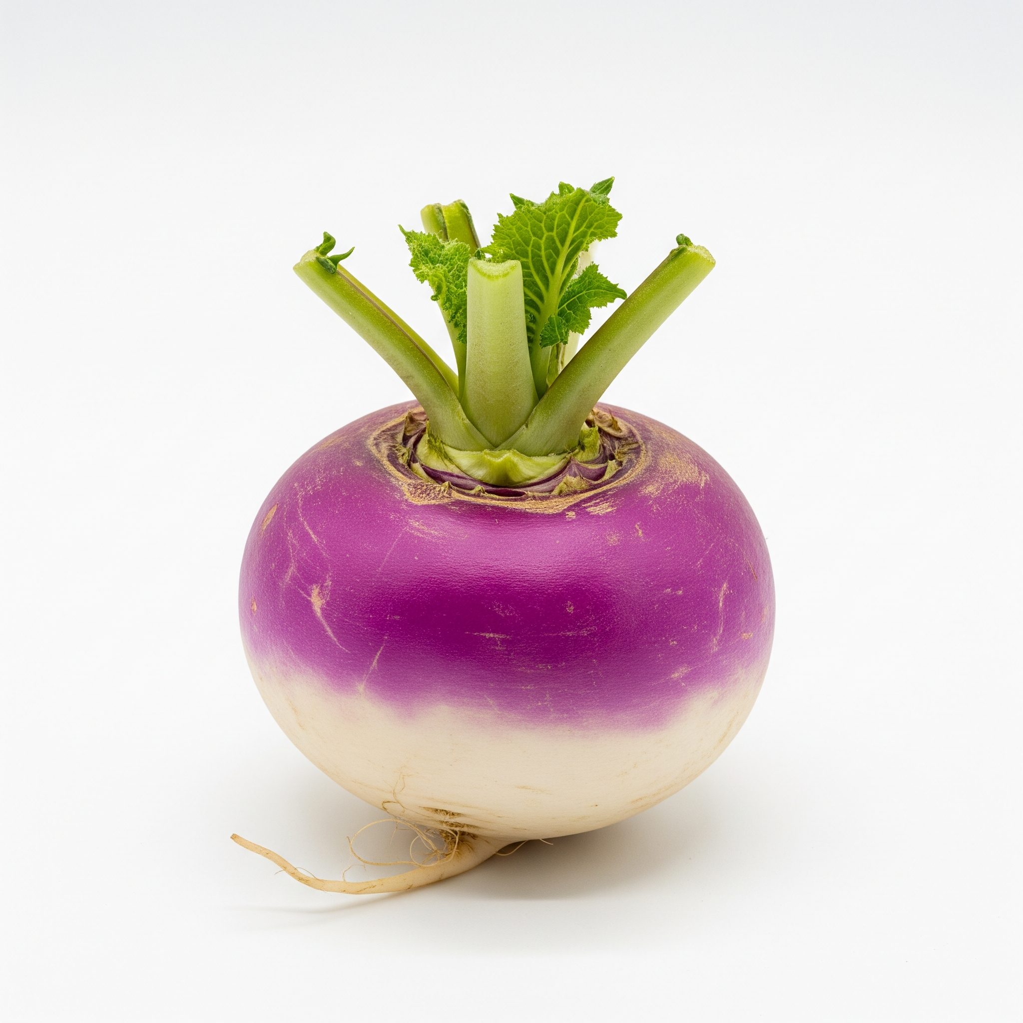 Turnip Turnip Poster