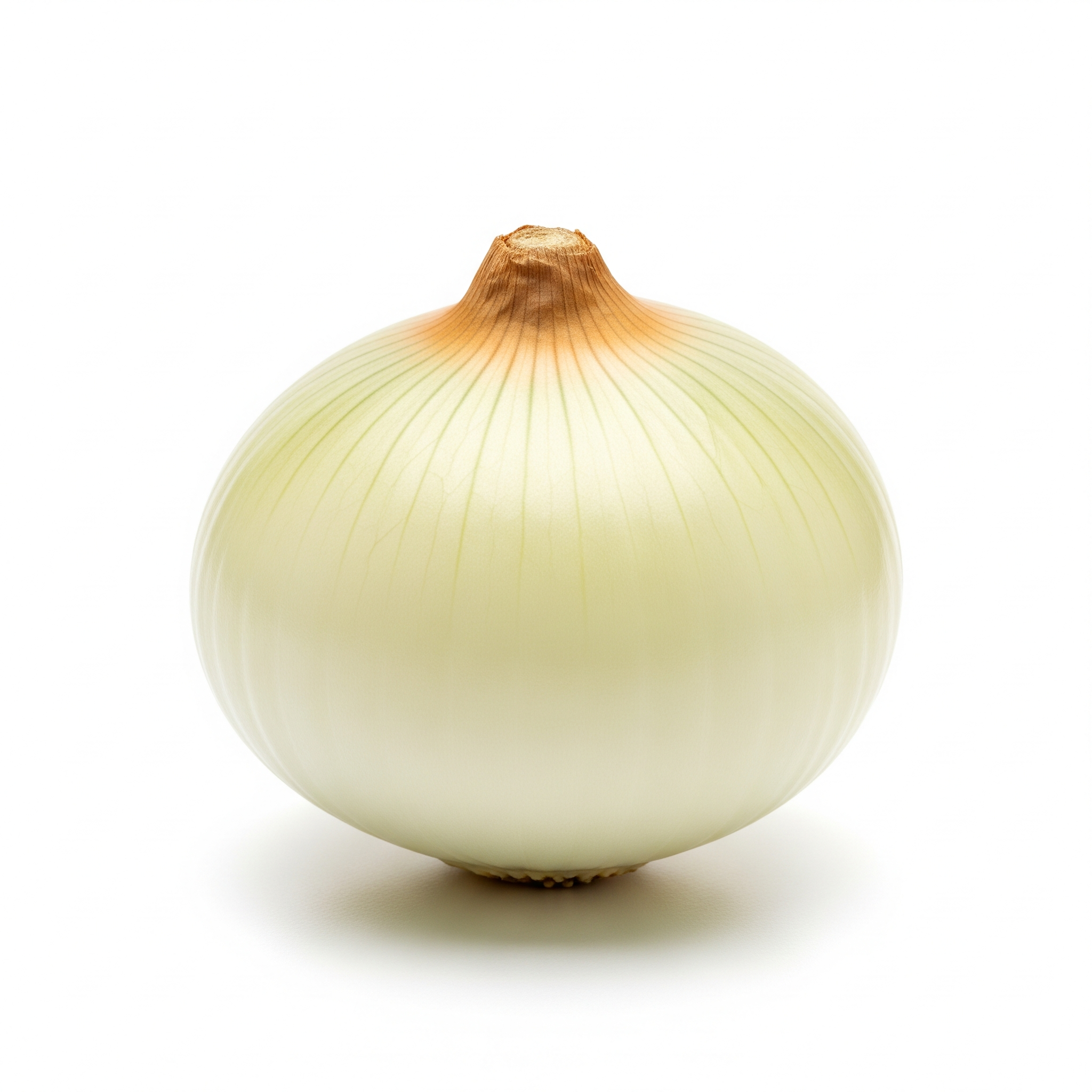 Vidalia onion Vidalia onion Poster