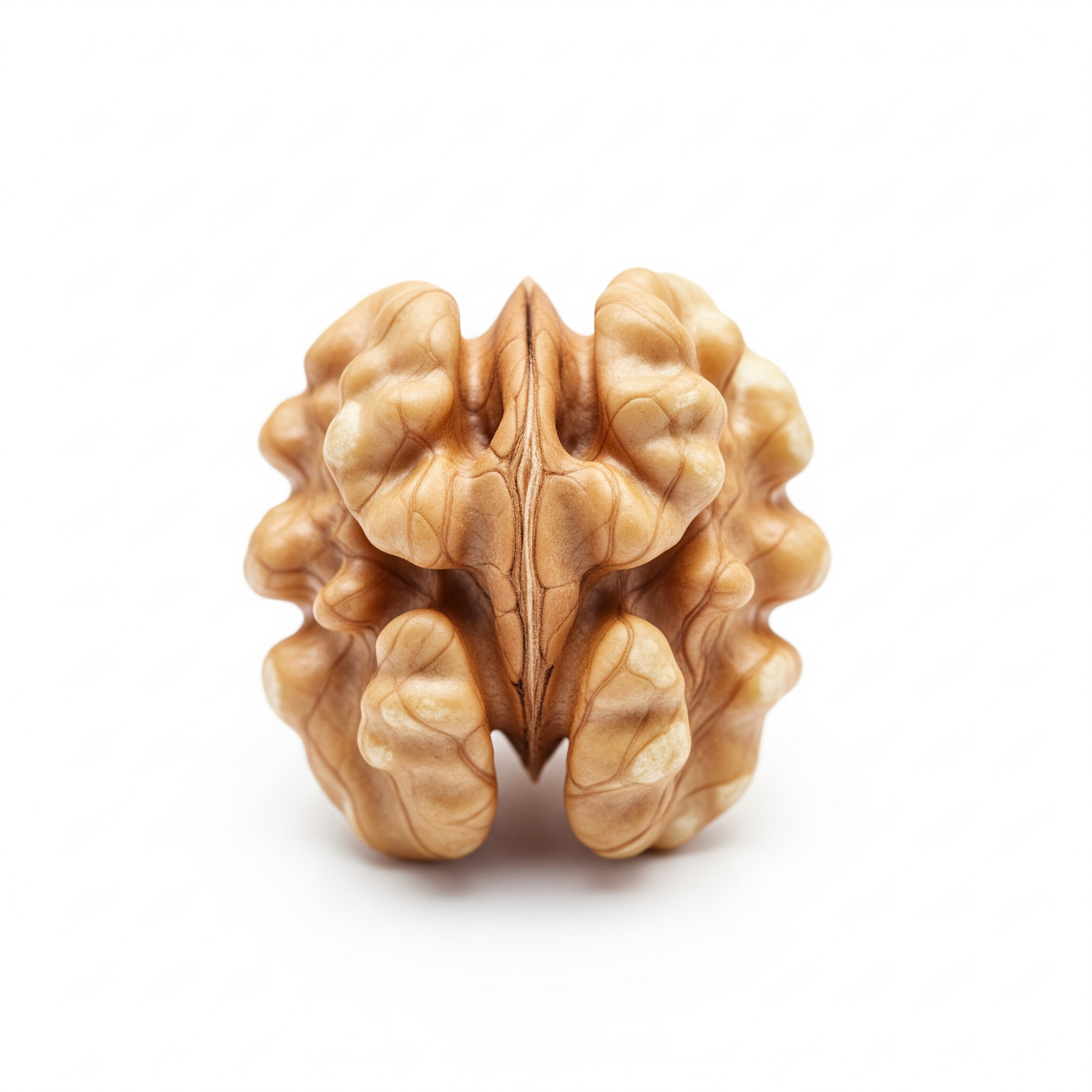 Walnut Walnut Poster