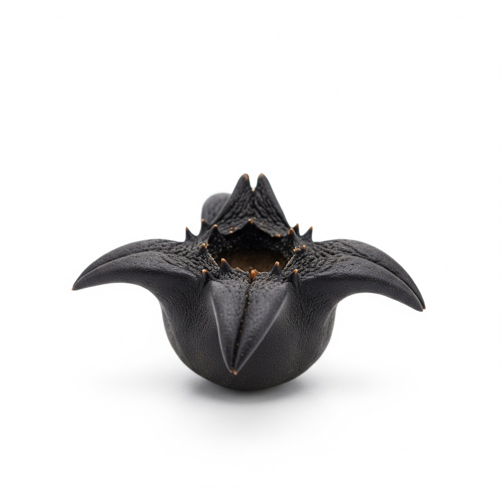 Water caltrop Water caltrop Poster