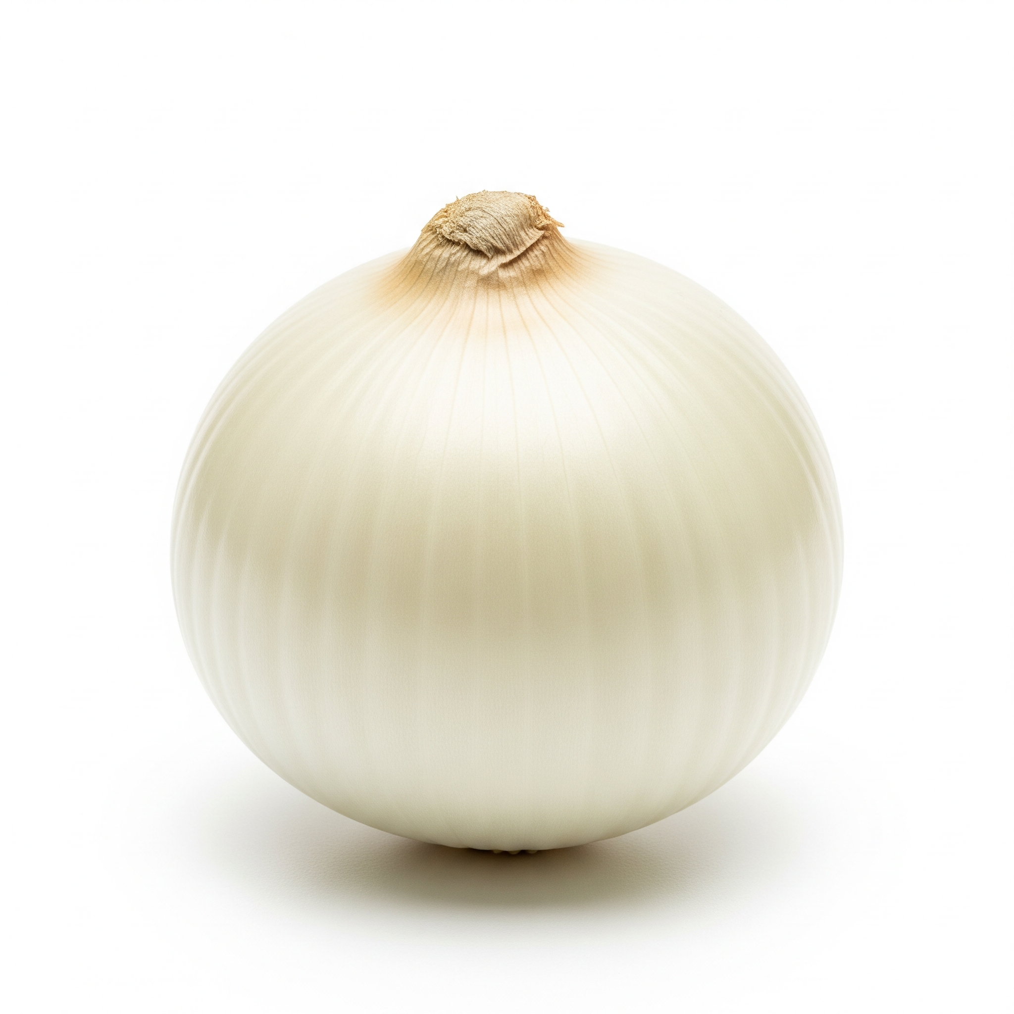 White onion White onion Poster
