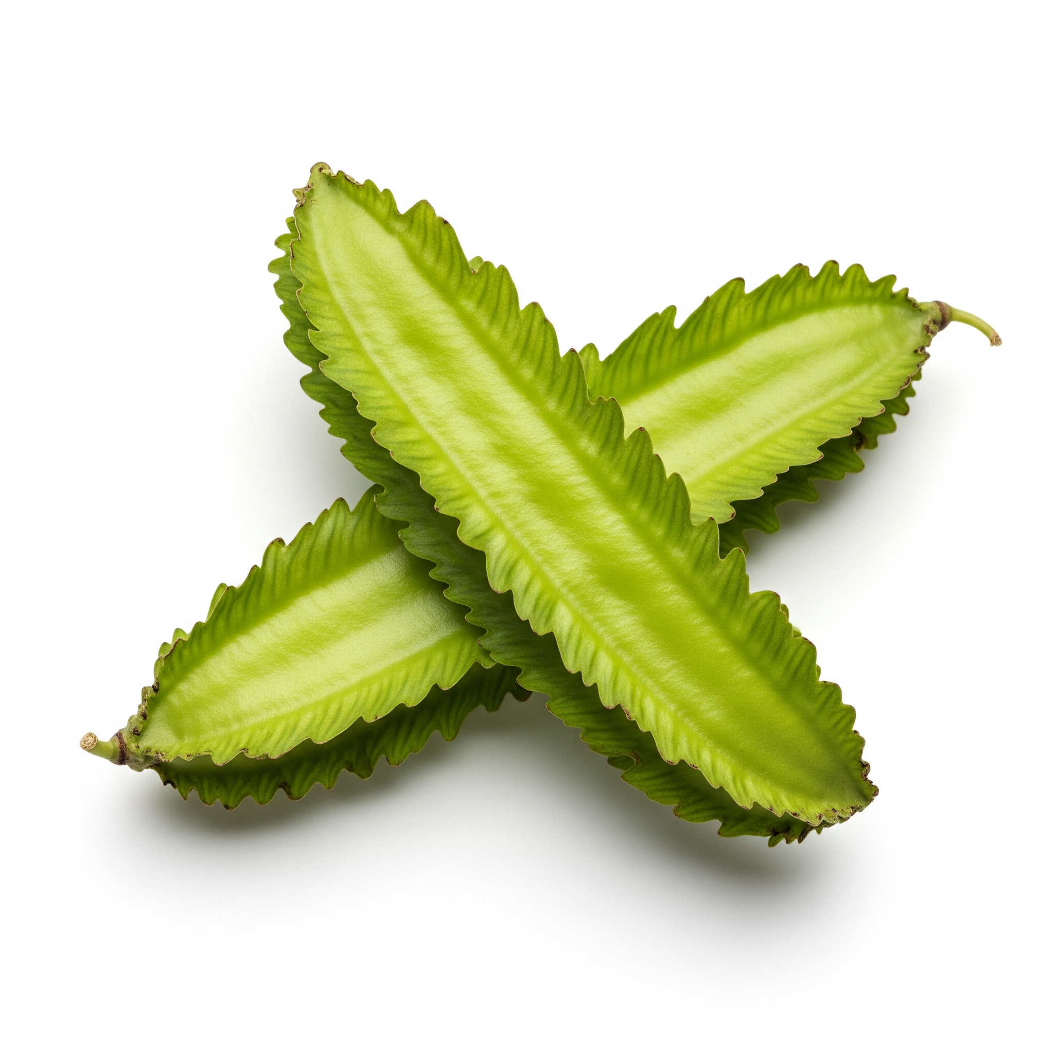 Winged Bean Winged Bean Poster