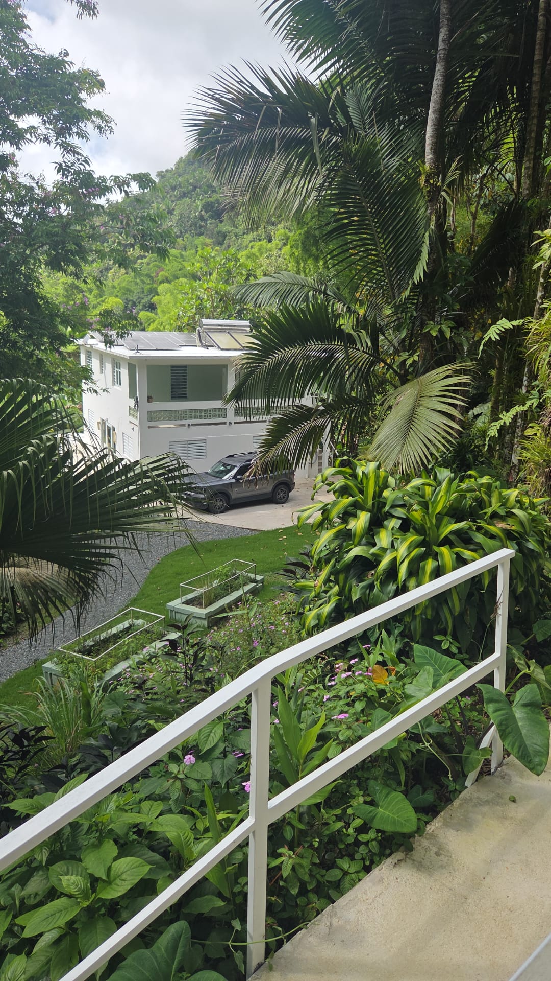 View from parking area