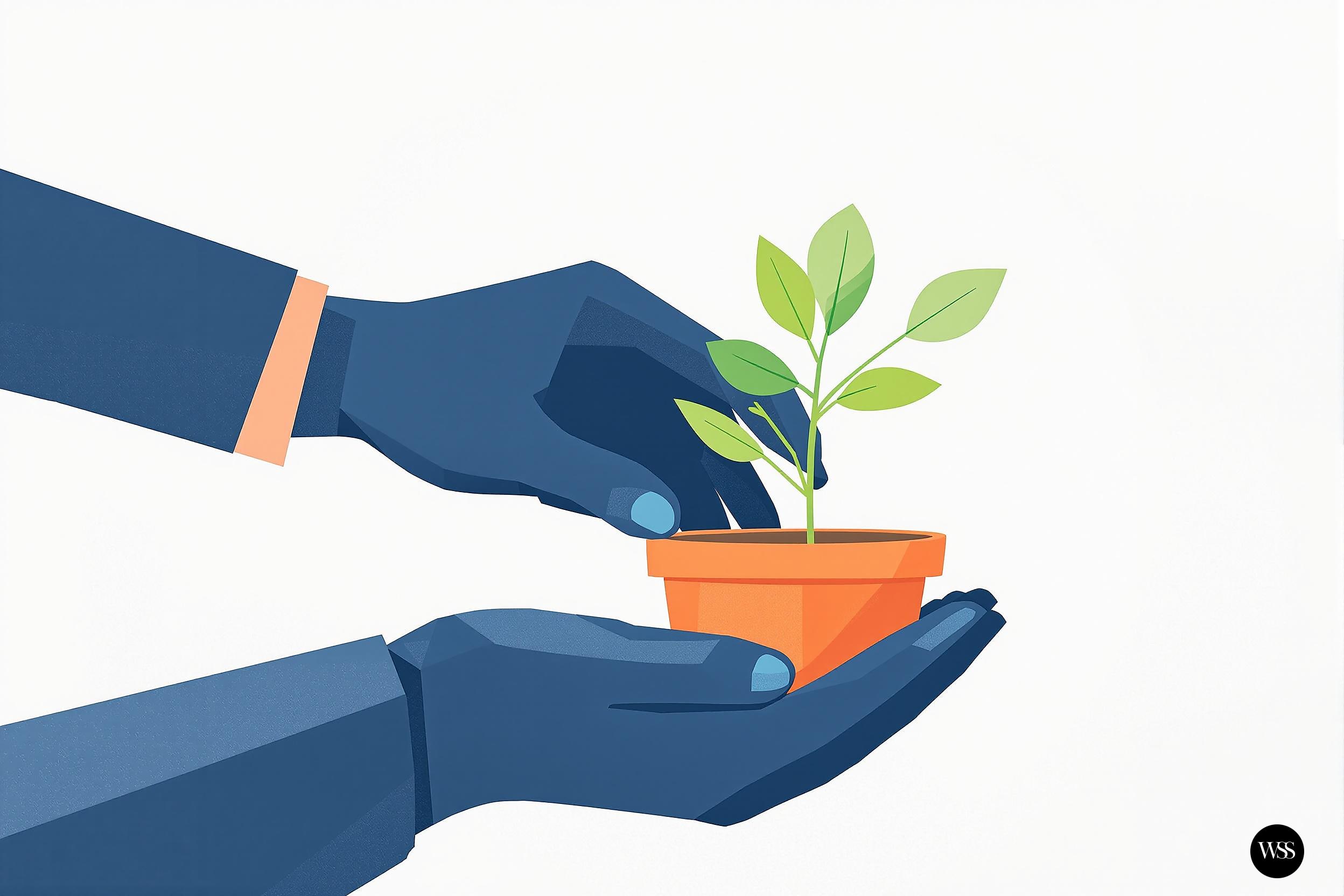 Two hands holding an orange pot with a green plant growing in it