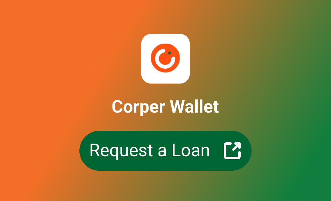 Loan Partner