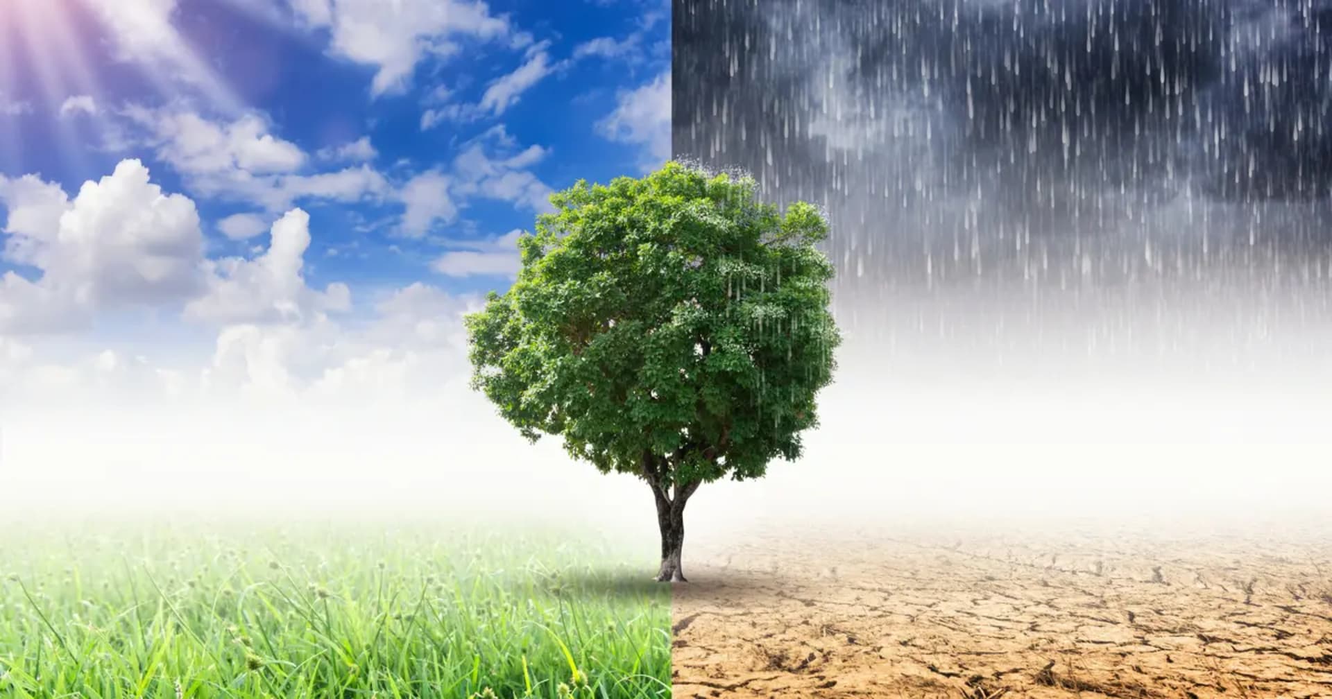 Environnement, Climat et Promotion des ODD