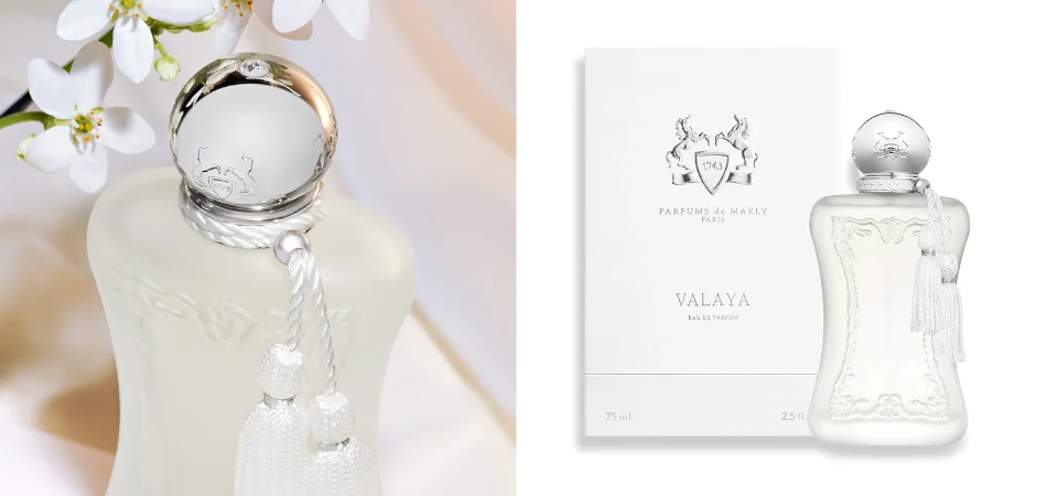 Top 10 luxury perfumes for women in Kenya - null