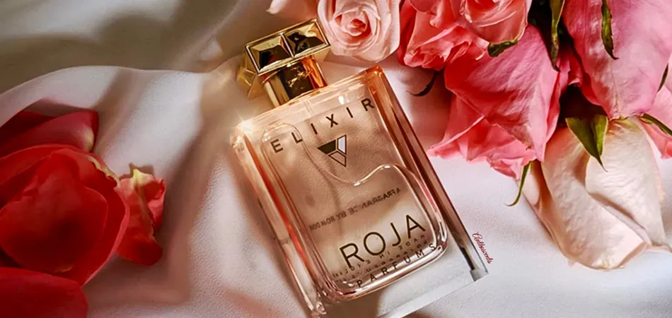 Top 10 luxury perfumes for women in Kenya - null