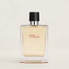 Hermes Terre D’Hermes EDT - 1 - Scentfied