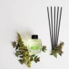 Green Tea Reed Diffuser - 2 - Scentfied