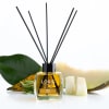 Melon Reed Diffuser - 2 - Scentfied