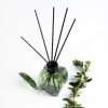 Tropical Forest Reed Diffuser - 2 - Scentfied