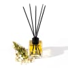 White Tea Reed Diffuser - 2 - Scentfied