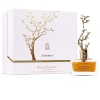 Aurora Deciduous Summer EDP - 0 - Scentfied