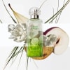 Hermes Un Jardin Sur Le Nil Toit EDT - 2 - Scentfied