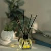 Lemon Reed Diffuser - 1 - Scentfied