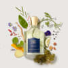 Creed Erolfa EDP - 1 - Scentfied