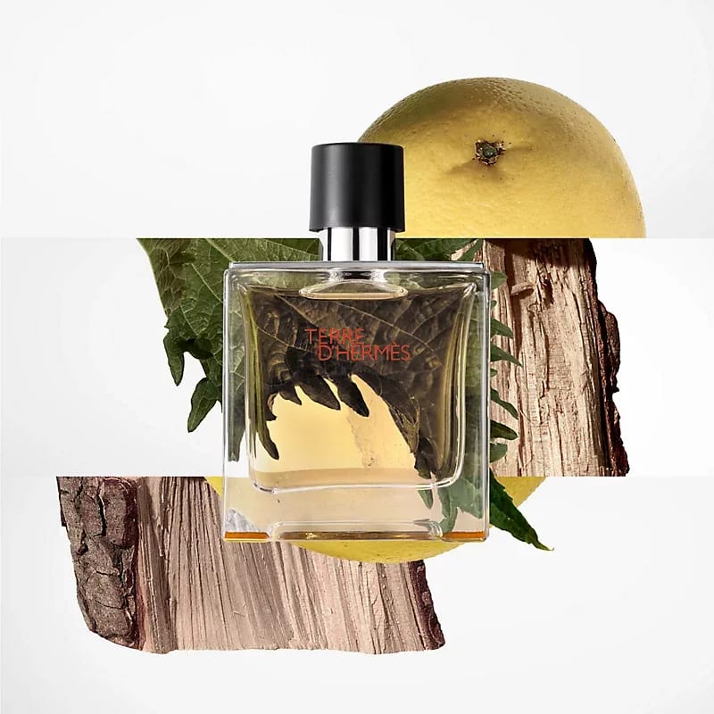 Hermes Terre D’Hermes EDT - Scentfied