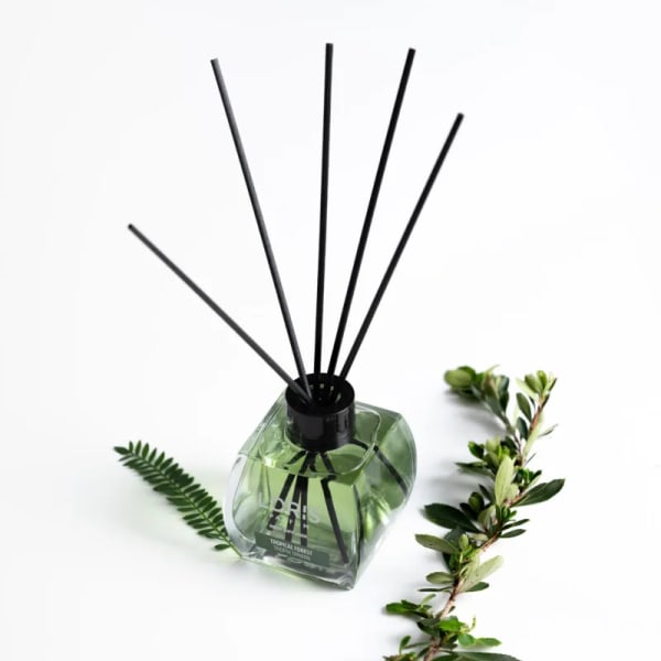 Tropical Forest Reed Diffuser perfume - Scentfied in Kenya