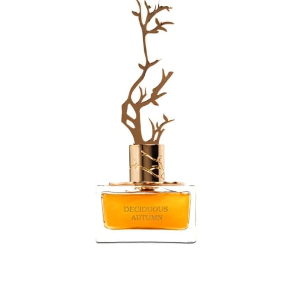 Aurora Deciduous Autumn EDP perfume - Scentfied in Kenya