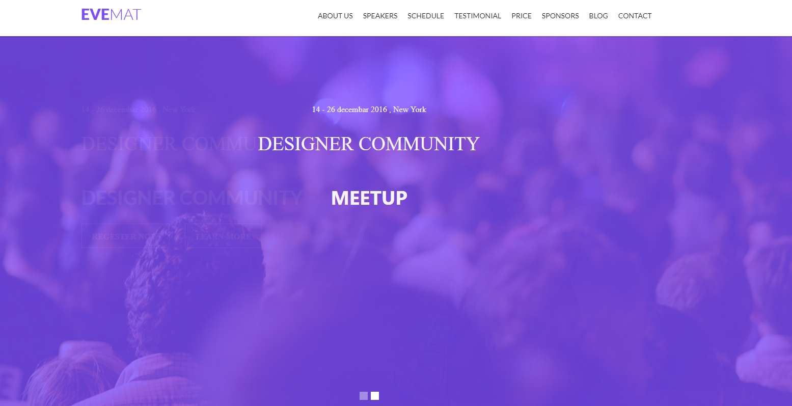 Landing Website