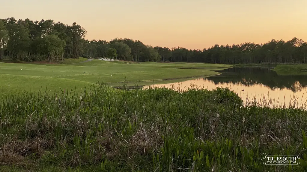 Watersound Camp Creek Homes for Sale, Inlet Beach, FL